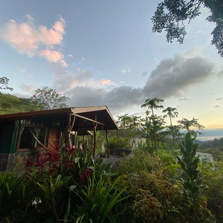 Chorotega Cabina Hotel Monteverde Kültér fotó