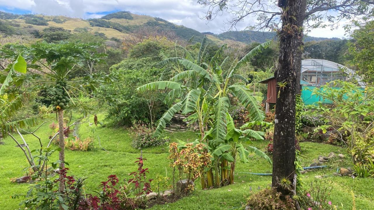 Chorotega Cabina Hotel Monteverde Kültér fotó